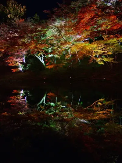 池に映るもみじ